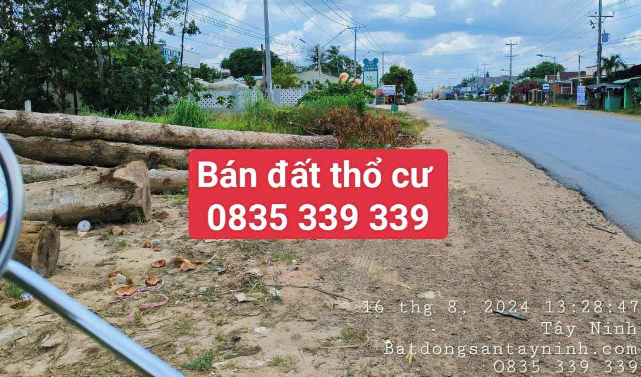 Ảnh đại diện