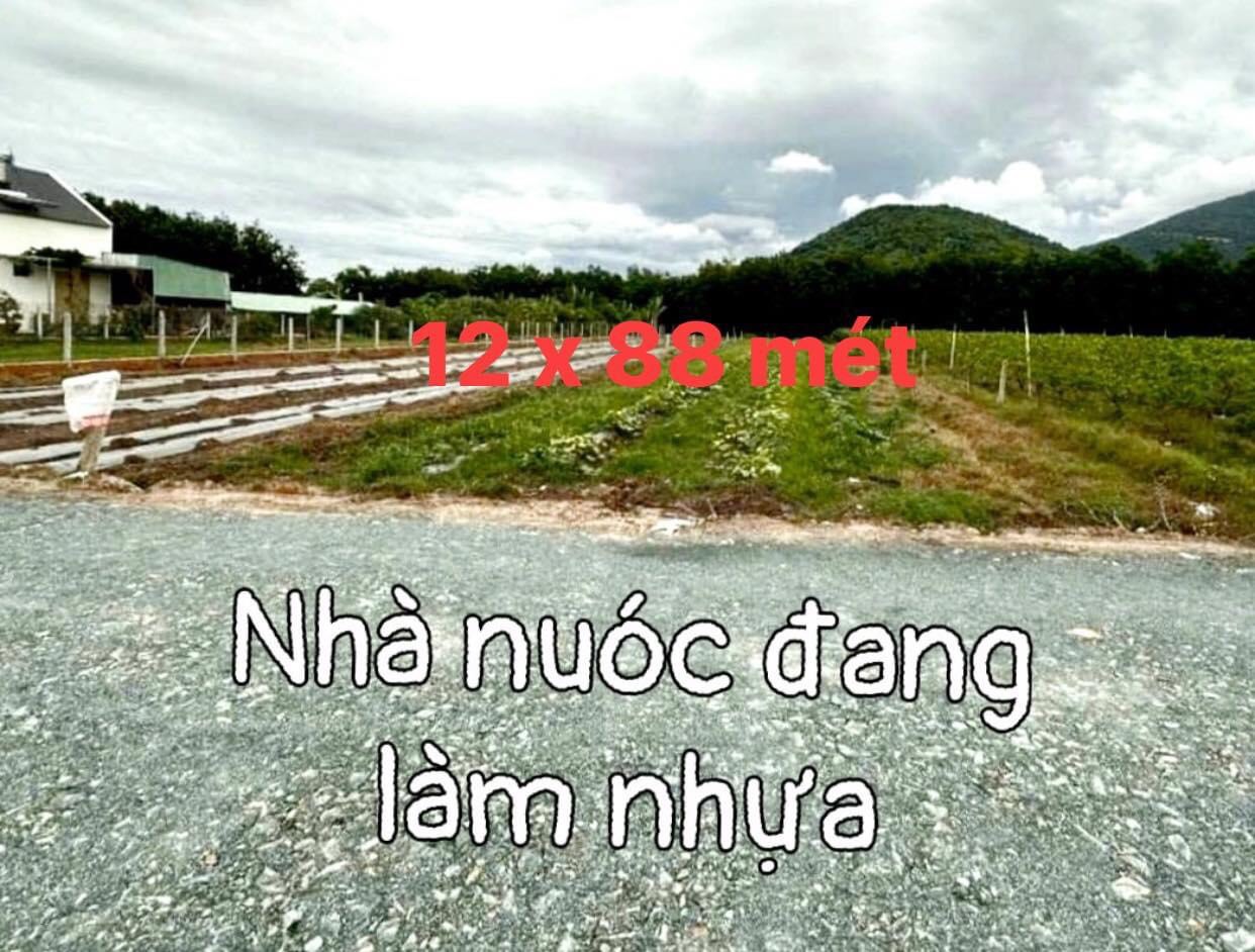 Ảnh đại diện