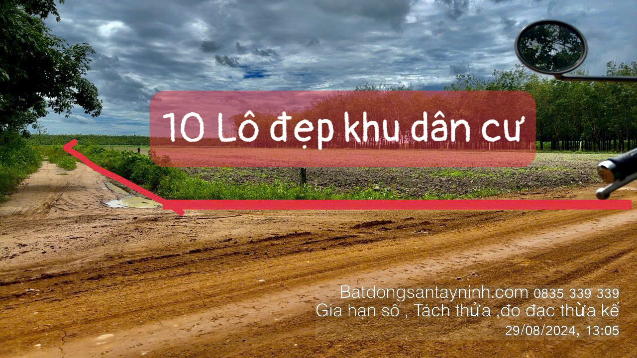 Ảnh đại diện