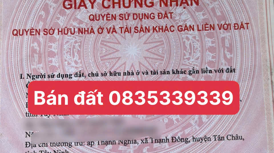 Ảnh đại diện