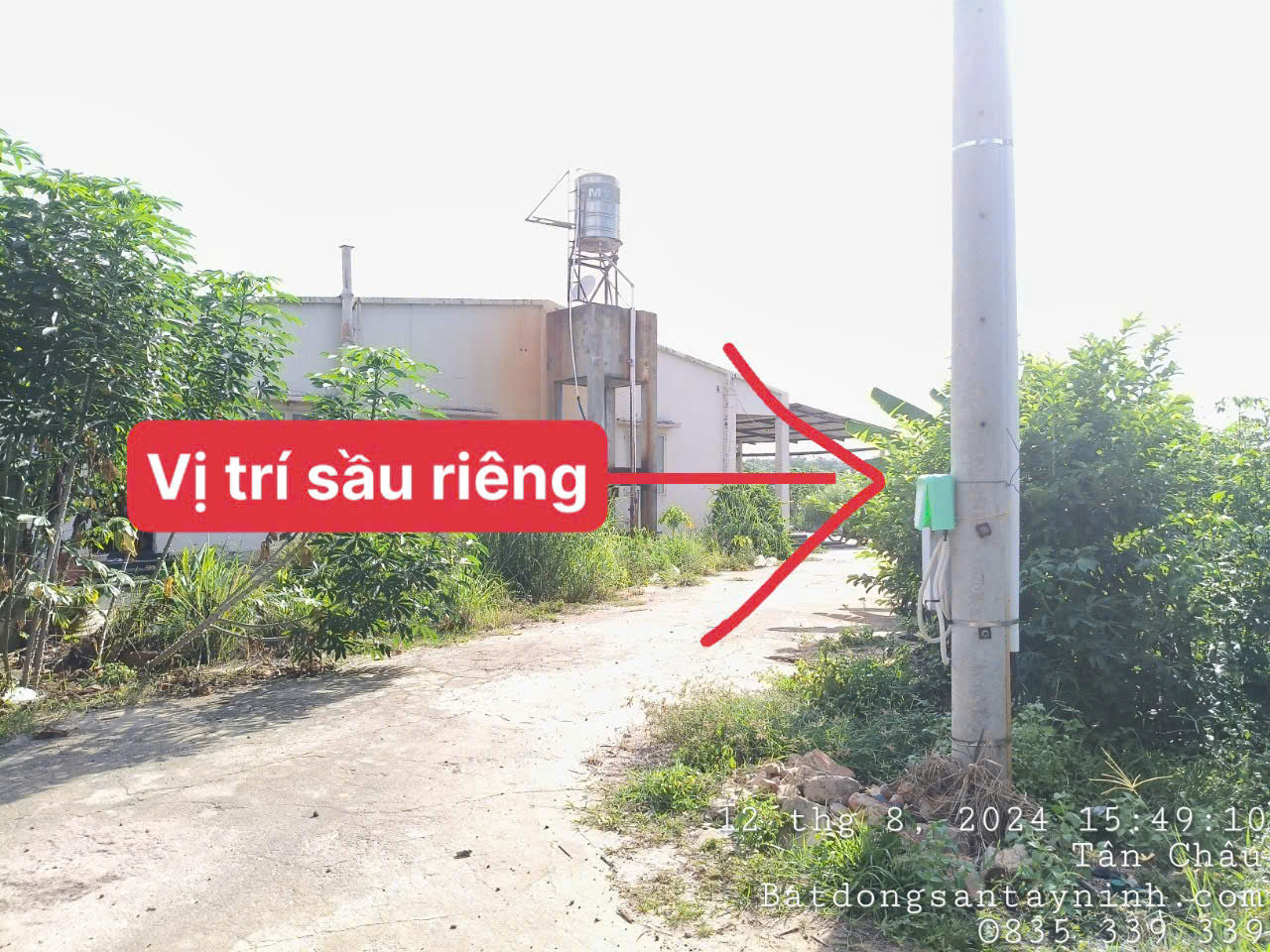 Ảnh đại diện