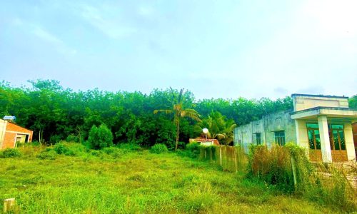 Chính chủ gửi bán nhanh 2 lô đất liền kề tại Thạnh Hưng, Thạnh Đông, Tân Châu