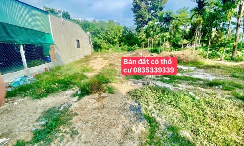 Chính chủ gửi bán – Giá cực mềm – Ngay công an xã Thạnh Đông