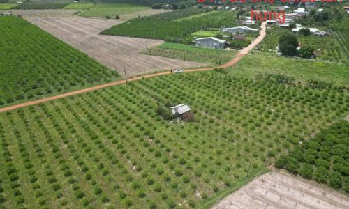 Điểm đến đầu tư lý tưởng tại Tân Hưng, Tân Châu
