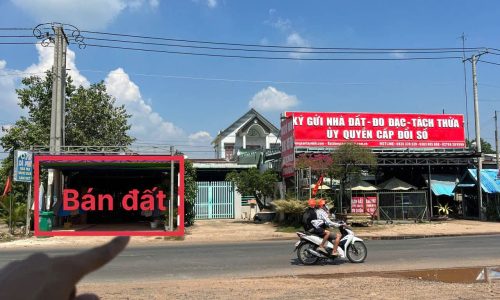 Ngộp bank – Cần bán gấp lô đất MTĐ ĐT 785 – Thạnh Đông, Tân Châu, Tây Ninh