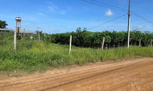 BÁN ĐẤT GIÁ RẺ SÁT CÔNG VIÊN TRUNG TÂM TÂN CHÂU, TÂY NINH –  GIỮ ĐẤT ĐẸP CHỈ VỚI 52 TRIỆU