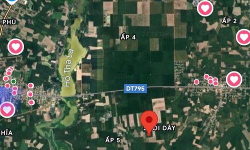 BÁN 4,6 HA ĐẤT ĐẸP SUỐI DÂY (CŨ), XÃ TÂN THÀNH – TÂY NINH