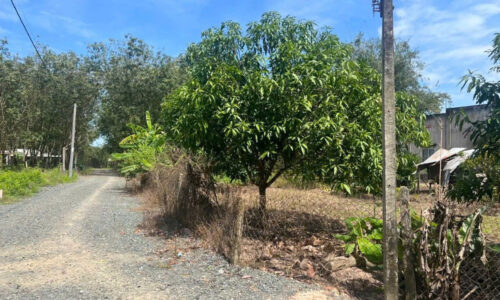 CHỦ CẦN NHƯỢNG LẠI ĐẤT FULL THỔ CƯ KDC TÂN HỘI – TÂY NINH – CHỈ VỚI 240 TRIỆU